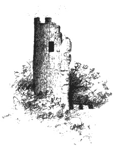 Нина. Девочка Шестой Луны Нина. Девочка Шестой Луны