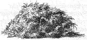 Опасный рейс Опасный рейс