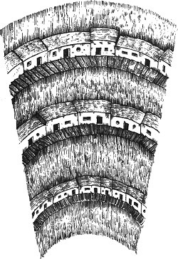 13 1/2 жизней капитана по имени Синий Медведь