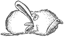 Город Мечтающих Книг Город Мечтающих Книг