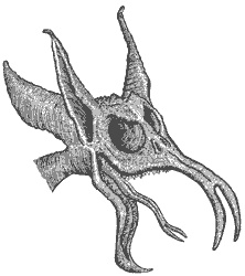 Город Мечтающих Книг Город Мечтающих Книг