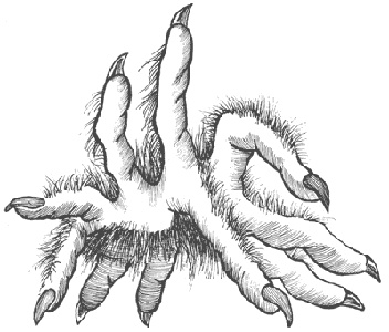 Город Мечтающих Книг Город Мечтающих Книг