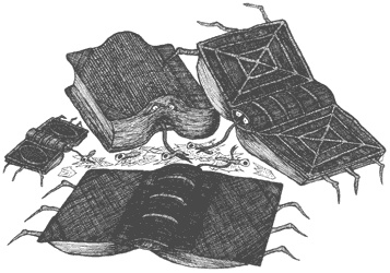 Город Мечтающих Книг Город Мечтающих Книг