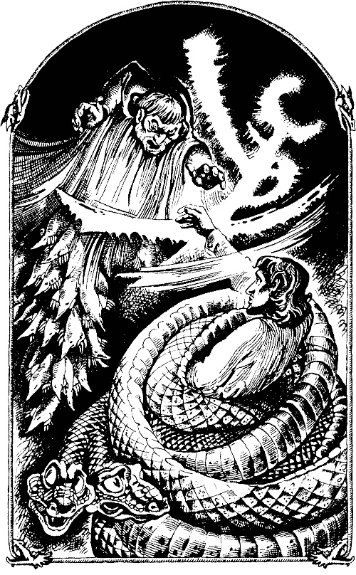 Магия в скорлупе Магия в скорлупе