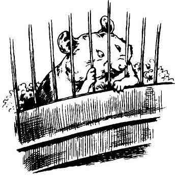 Пришельцы развлекаются Пришельцы развлекаются