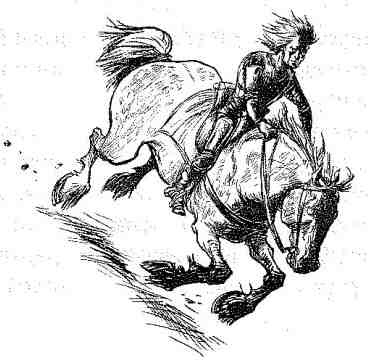 Вольный рыцарь Вольный рыцарь