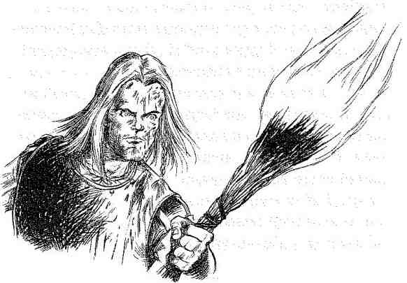 Вольный рыцарь Вольный рыцарь