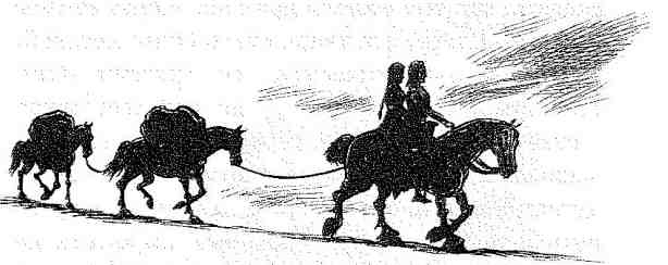 Вольный рыцарь Вольный рыцарь