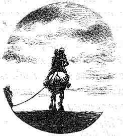 Вольный рыцарь Вольный рыцарь