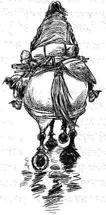 Вольный рыцарь Вольный рыцарь