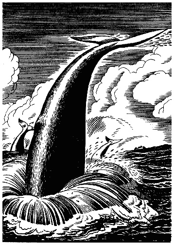 Моби Дик, или Белый Кит Моби Дик, или Белый Кит