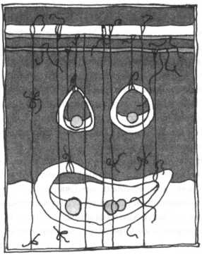 Сейчас вылетит птичка!