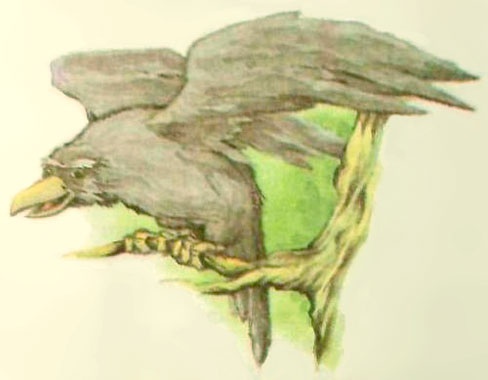 Дочь Гингемы Дочь Гингемы