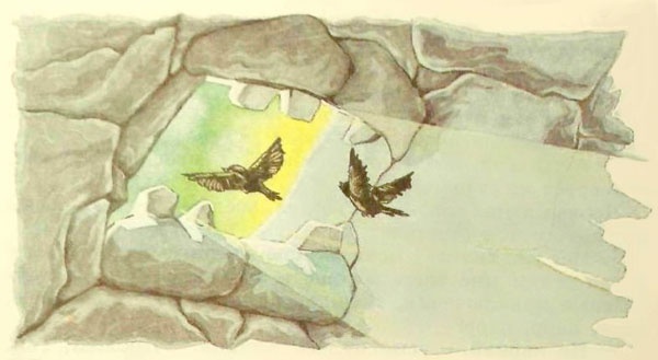 Дочь Гингемы Дочь Гингемы