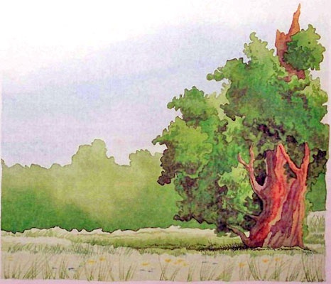 Меч чародея Меч чародея