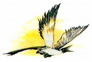 Алхимик Парцелиус Алхимик Парцелиус