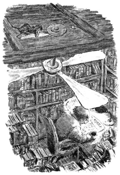 Фирмин. Из жизни городских низов Фирмин. Из жизни городских низов