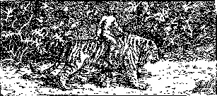 Экспедиция в иномир Экспедиция в иномир