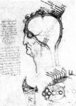 Книга вампиров