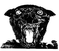 Дневник кошмарных пророчеств Дневник кошмарных пророчеств