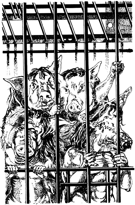 Тропой лесных чудовищ Тропой лесных чудовищ