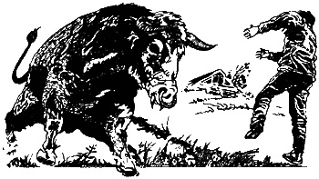 Колдовская вода Колдовская вода