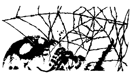 Тринадцатый час ночи Тринадцатый час ночи