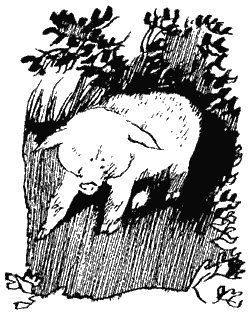 Книга трех Книга трех