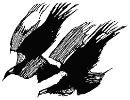 Книга трех Книга трех