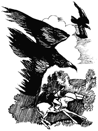 Книга трех Книга трех