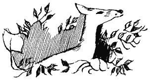 Книга трех Книга трех