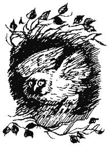 Книга трех Книга трех