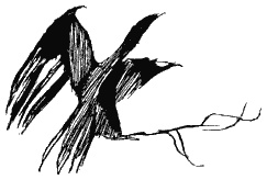 Книга трех Книга трех