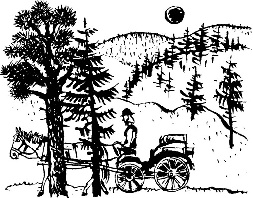 История Энн Ширли. Книга первая История Энн Ширли. Книга первая