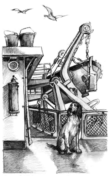 Детям Детям