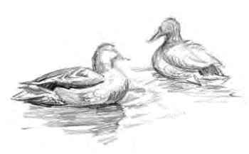 Детям Детям