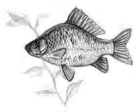 Детям Детям