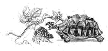 Детям Детям