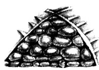 Мэбэт Мэбэт