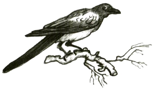 Кадын - Владычица гор Кадын - Владычица гор