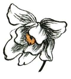 Кадын - Владычица гор Кадын - Владычица гор