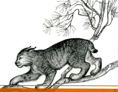 Кадын - Владычица гор Кадын - Владычица гор