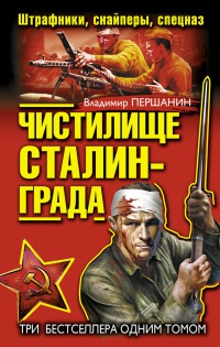 Чистилище Сталинграда. Штрафники, снайперы, спецназ - Владимир Першанин