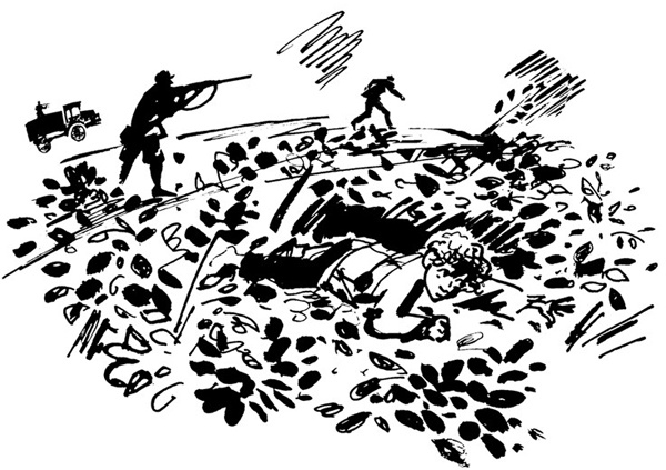 Беги, мальчик, беги Беги, мальчик, беги