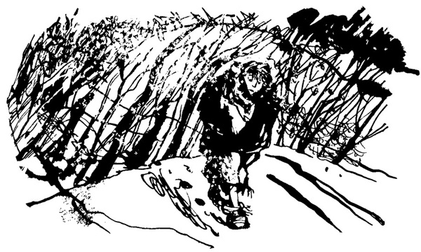 Беги, мальчик, беги Беги, мальчик, беги