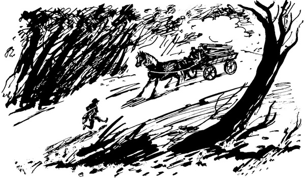 Беги, мальчик, беги Беги, мальчик, беги