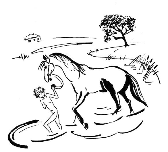 Беги, мальчик, беги Беги, мальчик, беги