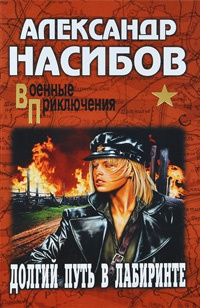 Долгий путь в лабиринте - Александр Насибов