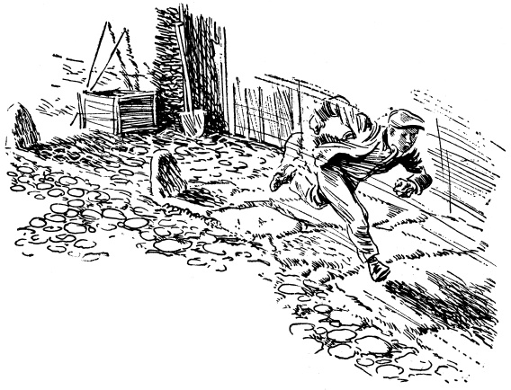 Зеленые цепочки