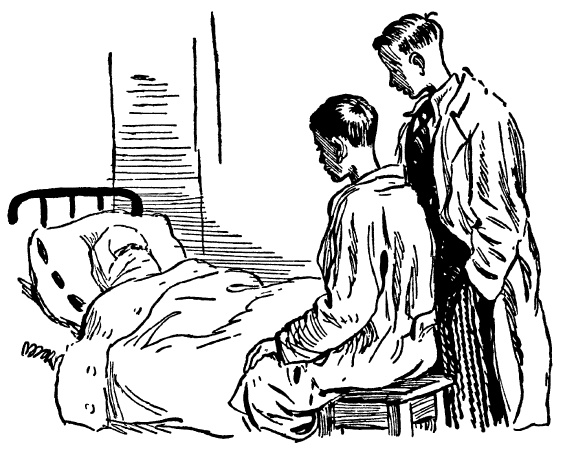 Тарантул Тарантул